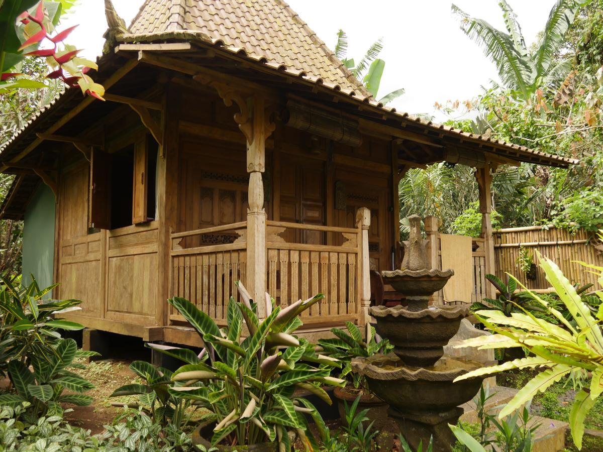 Vila Bali Mountain Retreat Selemadeg  Exteriér fotografie