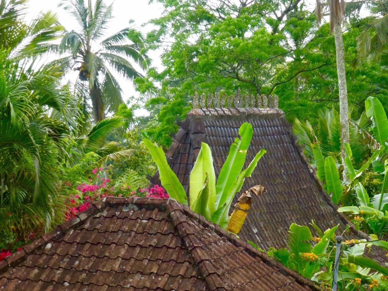 Vila Bali Mountain Retreat Selemadeg  Exteriér fotografie